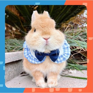 [🚚 พร้อมส่ง] โบว์สัตว์เลี้ยง Rabbit Bow Tie เนคไท เครื่องประดับสัตว์เลี้ยง โบว์กระต่าย