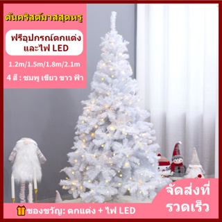 ขายดี ต้นคริสต์มาส ขนาด ใหญ่ Christmas tree พร้อมอุปกรณ์ตกแต่งและไฟ LED ใบเขียวชอุ่ม 120/150/180cm คริสต์มาส ต้นสนคริสมาส