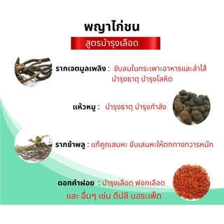 อาหารบำรุงไก่ชน ไก่หน้าซีด หงอย ท้องผูก เบื่ออาหาร [สูตรบำรุงเลือด] 500mg 100 แคปซูล