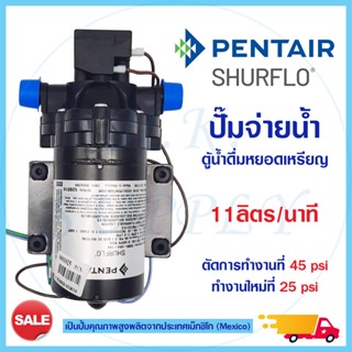 ปั๊มจ่ายน้ำ SHURFLO Delivery Pump 230VAC 4 หุน 11 ลิตรต่อนาที ปั๊มอัตโนมัติ ใช้กับไฟฟ้า 230 VAC มีฟิวส์ 2088-564-144