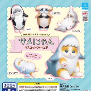 🅟🅕 กาชาปองน้องแมวสวมมาสตอตฉลามสายพันธุ์ต่างๆ 🦈🐈🐈‍⬛🦈 Shark Nyan mascot Figure gashapon