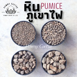 หินภูเขาไฟ ถุง 1 ลิตร 500 กรัม เบอร์ 00 01 02 03 SSS หินรองก้อนกระถาง หินพัมมิส Pumice รองก้นกระถาง วัสดุปลูก