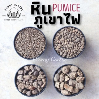 หินภูเขาไฟ ถุง 1 ลิตร เบอร์ 00 01 02 03 SSS หินรองก้อนกระถาง หินพัมมิส Pumice รองก้นกระถาง วัสดุปลูก