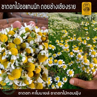 ชาดอกคาโมมายล์ แบบถุงชาสำเร็จพร้อมดื่มTea Bag(15 ถุง)ชาดอกไม้ออแกนนิก100%ของไอนาดอยช้างคอฟฟี่