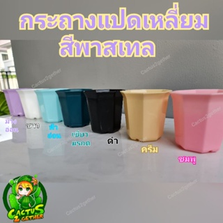 กระถางแปดเหลี่ยมสีพาสเทล กระถางแคคตัส ขนาด3นิ้ว