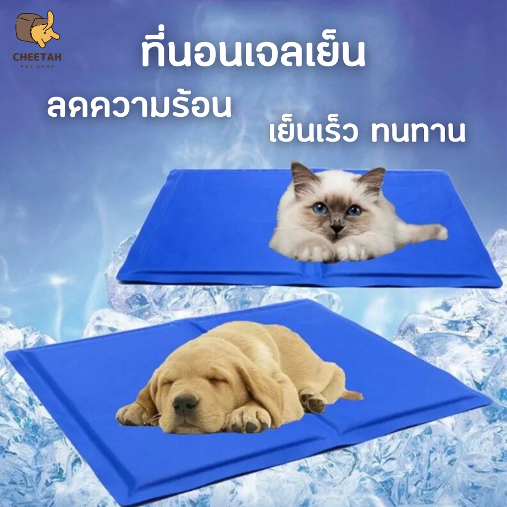 พร้อมส่ง  Pet Cool mat ที่นอนเจลเย็น แผ่นเจลเย็น แผ่นทำความเย็น ที่นอนสัตว์เลี้ยง เบาะนอนเย็น สำหรับสุนัข และแมว