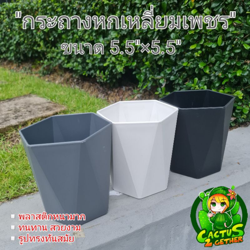 หนา‼️กระถางหกเหลี่ยมเพชร มินิมอล ขนาด5.5"