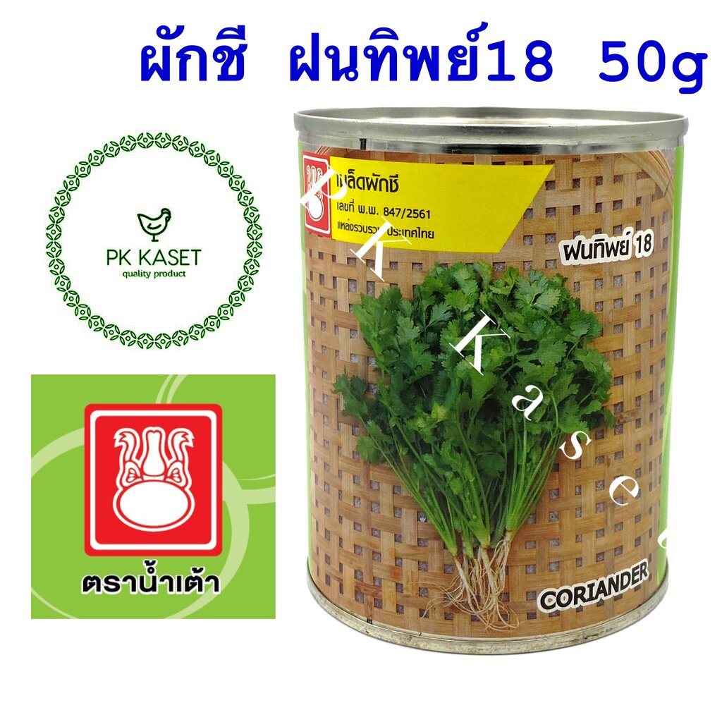 เมล็ดผักชี ฝนทิพย์ 18 ตราน้ำเต้า กระป๋อง ขนาด 50 g