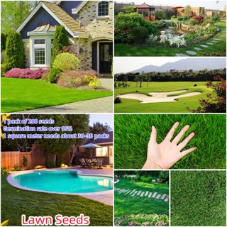 เก็บเงินปลายทาง COD 200แคปซูลต่อแพ็ค Green Grass Seed Golf Course Lawn Seeds เมล็ดพันธุ์แท้100% เมล็ดพันธุ์ ต้นไม้ประดับ