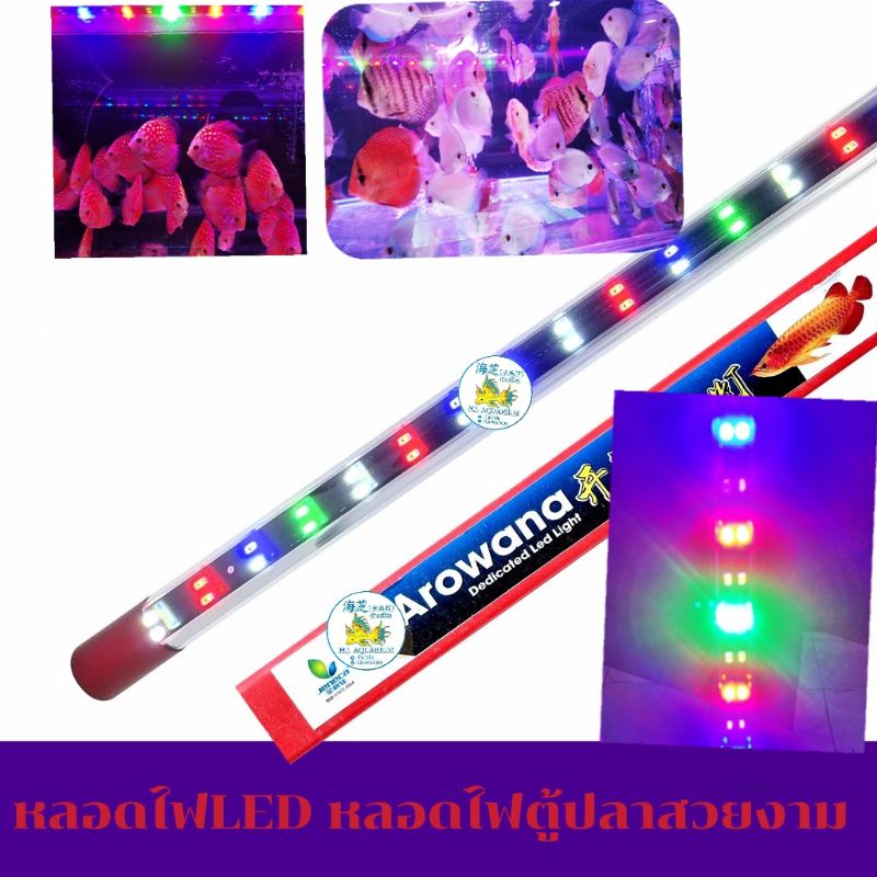 0หลอดไฟใต้น้ำJeneca T8 มีหลากหลายขนาดเหมาะสำหรับเลี้ยงปลาสวยงามทุกชนิด