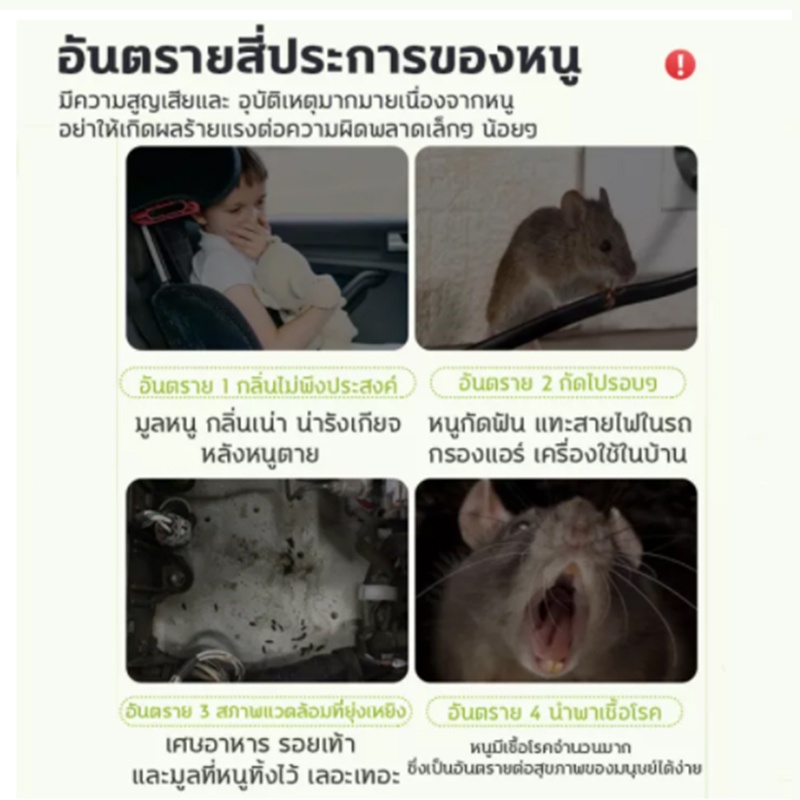 หนูหายไปแล้ว น้ำยาฉีดไล่หนู 500ml สเปรย์ไล่หนู จิ้งจก ตุ๊กแก น้ำยาไล่หนู ไล่หนู ในห้องเครื่องรถยนต์ ในรถยนต์ ในบ้าน🐭🐭 - รูปที่ 6