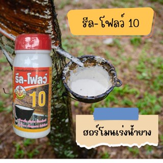 รักษาหน้ายา เร่งน้ำยาง เพิ่มคุณภาพ รีลโฟลว์ 10 ตราสามสมอ