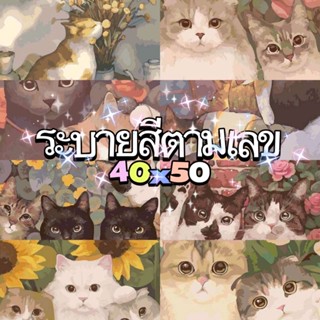 [ส่งไว][40*50] น้องแมว-ภาพระบายสีตามตัวเลข เฟรมชุดผ้าใบระบายสี ของขวัญ ของตกแต่งบ้าน ภาพระบายสีตามตัวเลข แบบขึงเฟรมไม้ ง