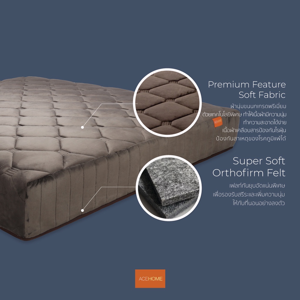 ZEN Collection ที่นอ