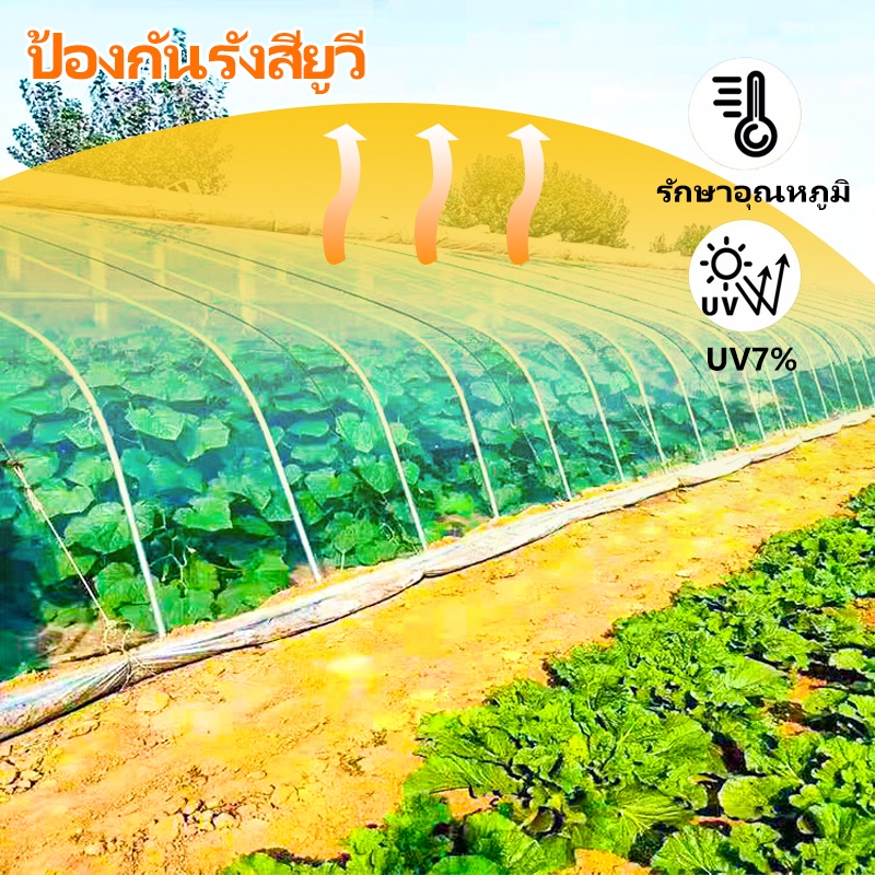 พลาสติกโรงเรือน พลาสติกใส พลาสติกคลุมโรงเรือน กันฝนgreenhouse หนา 150 ไมครอน UV7% โรงเรือนแคคตัส พลาสติกปูบ่อ กันสาด6×10 - รูปที่ 3