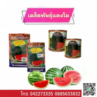 เมล็ดพันธุ์ แตงโม op WATERMELON