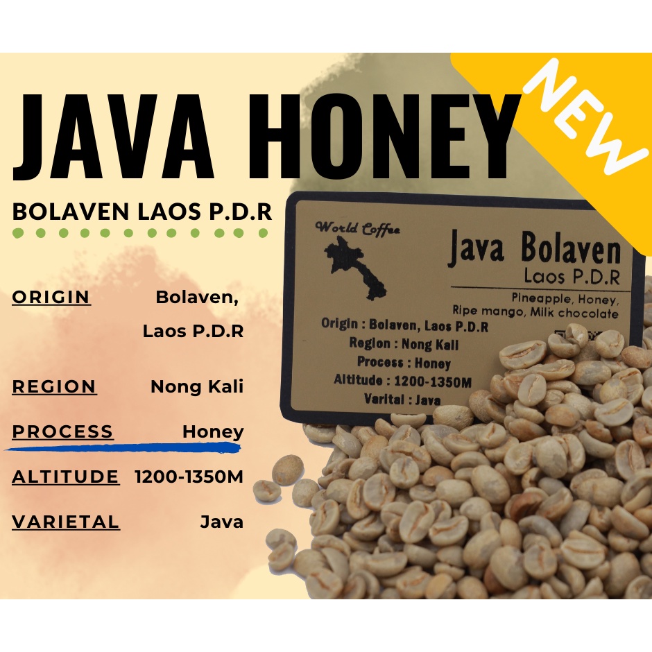 พร้อมส่ง เมล็ดกาแฟดิบ Java Honey bolaven Laos PDR Honey process/ เมล็ดกาแฟนอก/ สารกาแฟลาว/ Green bean