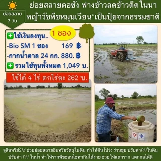 จุลินทรีย์SM+เเร่ปรับสภาพSM💥เซ็ทคู่ดูโอ้💥หมักปุ๋ยปลาย่อยสลายเร็ว7-10วัน