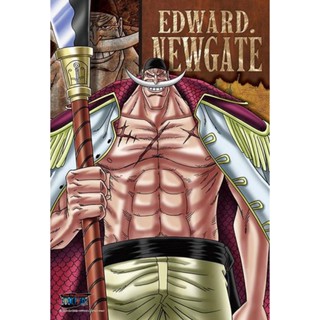 Whitebeard ของแท้ JP แมวทอง - Jigsaw Puzzle Ensky [จิ๊กซอว์วันพีช]