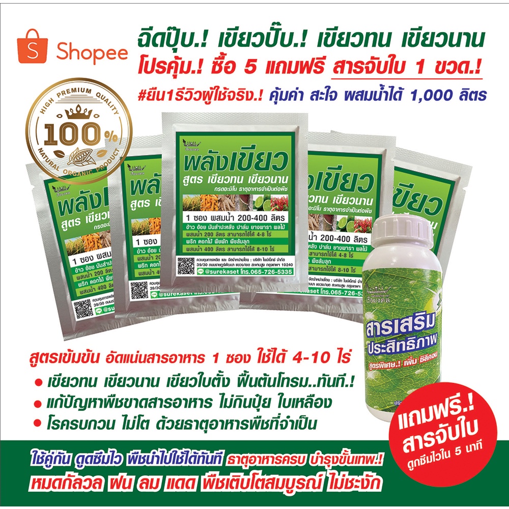 พลังเขียว 5 ซอง สูตรเขียวทน เขียวนาน ฉีดปุ๊บเขียวปั๊บ.!  แถมฟรี สารจับใบขนาด 250ซีซี