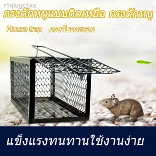 Mouse trap กรงดักหนูแบบติดเหยื่อ กรงดักหนู กรงจับกระรอก กรงจับกระแต กับดักหนูในบ้าน กรงจับหนูบ้าน Mouse cage หนูหมดบ้ ที