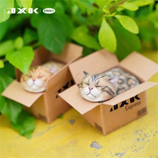 (มีของพร้อมส่ง) Model โมเดลน้องแมวส้มในกล่อง (The Cat In The Delivery Box) งาน JXK Studio 1/6