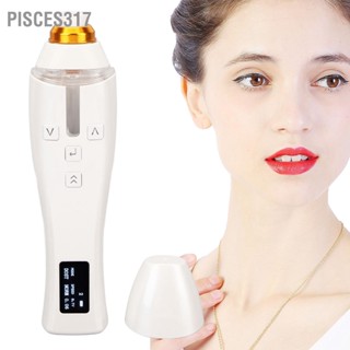 Pisces317 9D Electric Facial Beauty Wand Skin Rejuvenation Face Tightening Lifting Wrinkle Removal Device