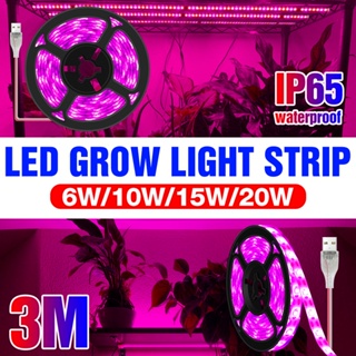 สายไฟ LED IP65 หรี่แสงได้ ยืดหยุ่น กันน้ํา ชาร์จ USB สําหรับปลูกพืชในร่ม เรือนกระจก