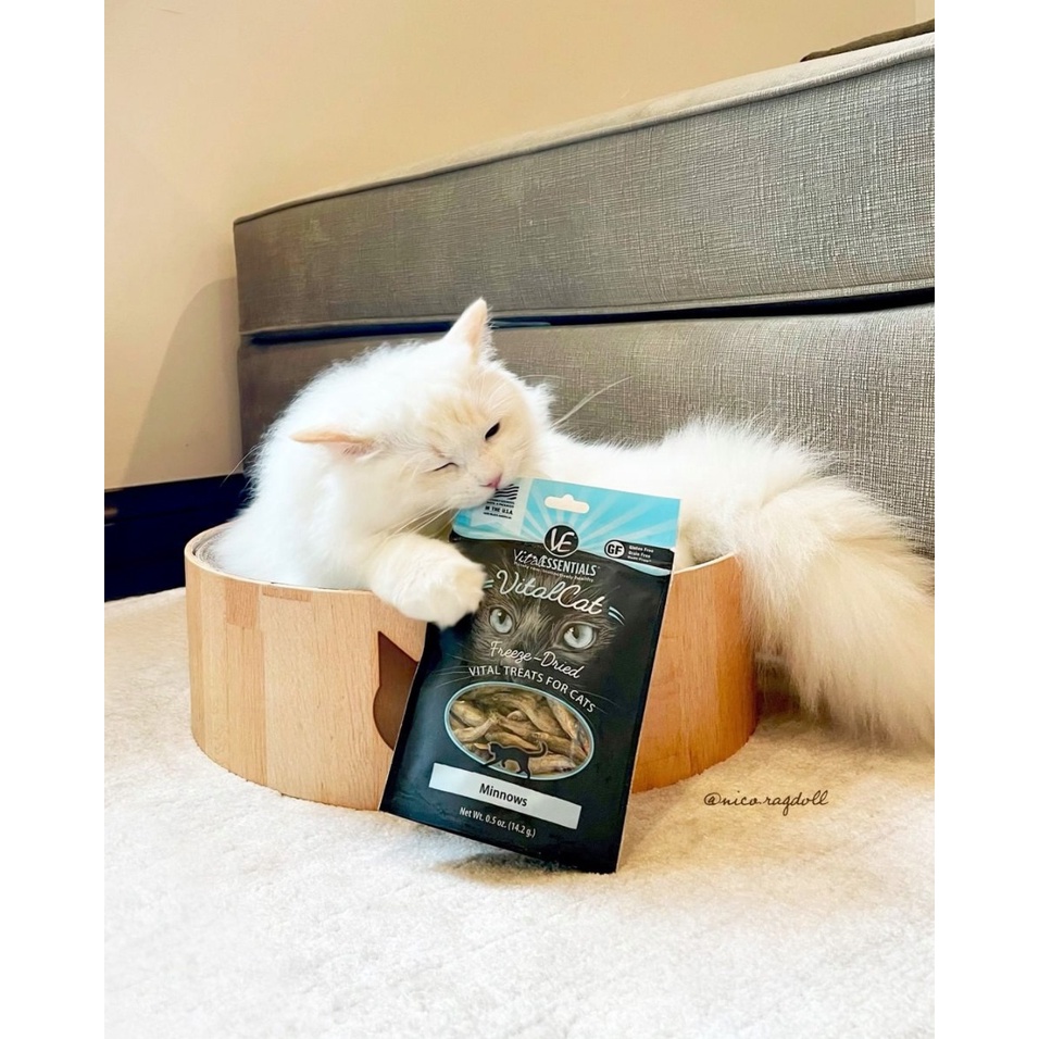 Vital Essential Freeze Dried Cat Treats 20-25 กรัม ขนมแมวเกรดพรีเมี่ยม x Petsister ราคา ถูกที่สุด ดีลบีเคเค แกลเลอรีภาพที่ 4