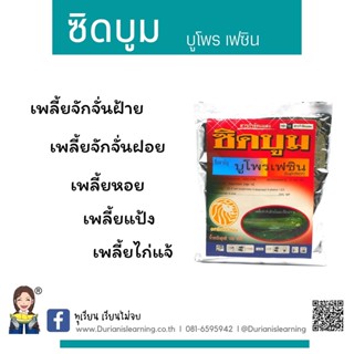 ซิดบูม บูโพรเฟซิน ชนิดผง ขนาด 100 กรัม