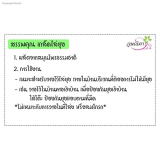 เกล็ดไล่ยุง🦟สมุนไพรธรรมชาติ💢วางไล่ยุงภายในบ้าน💢