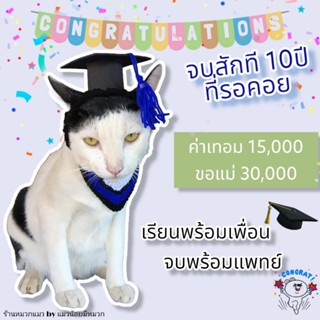 🎓หมวกรับปริญญาแมว หมวกแมว เซทรับปริญญา