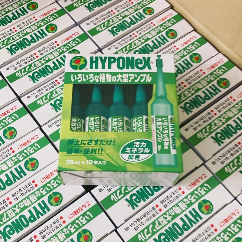 พร้อมส่ง! ปุ๋ยปัก  Hyponex สีเขียวเข้ม 1 กล่อง