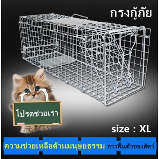 กรงกับดักแมวคาร์เตอร์แทรปป์ 4 ขนาด XL เหล็กเส้นชุบสังกะสีป้องกันสนิมพับเก็บได้เพื่อคว้าแมวจรจัดจับแมว