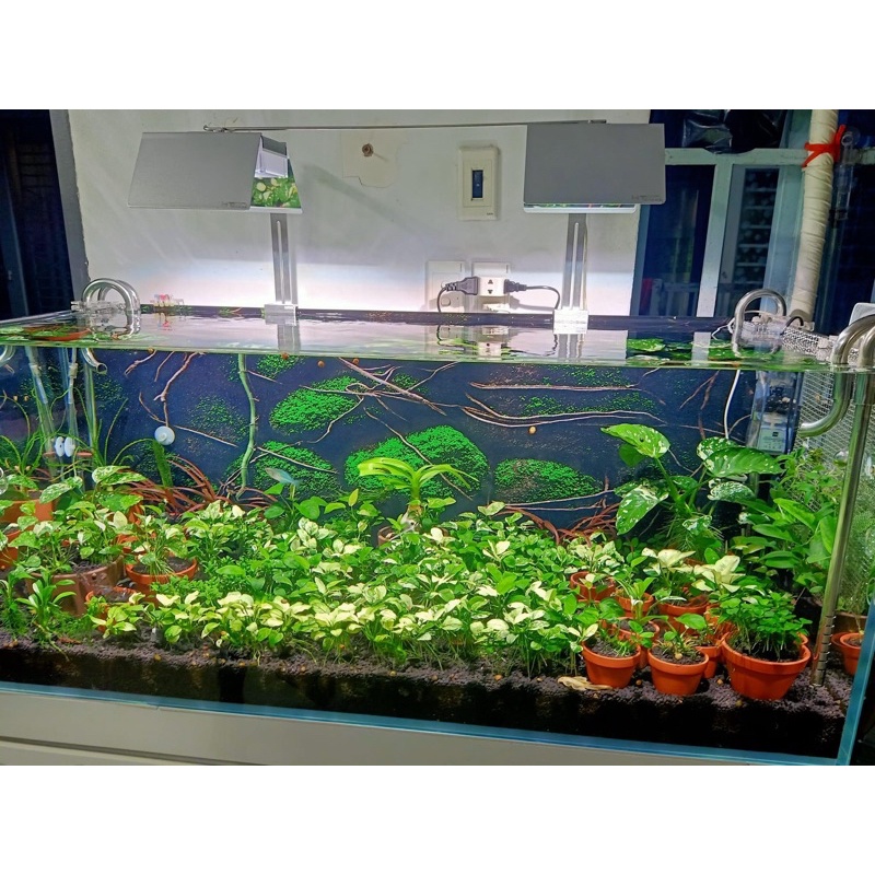 SHADE HT สําหรับ NETLEA AT3 / AT3 PRO LIGHT สแตนเลส 430