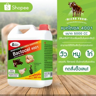 Bactocel 4001 แบคโตเซล 4001 ขนาด 5000 ml 1 แกลลอน ดับกลิ่นเหม็นคอกสัตว์ จุลินทรีย์คอกสัตว์ ยาดับกลิ่นคอกสัตว์ กำจัดกลิ่น