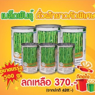 กระป๋อง 100 กรัมและ 500กรัม เมล็ดพันธุ์ ถั่วฝักยาว สายธารา ตราซีดไลน์ Yard Long Bean