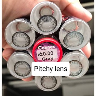 คอนแทคเลนส์ รุ่น Cannes สีเทา/ สีตาล  gray/brown มีค่าสายตา …