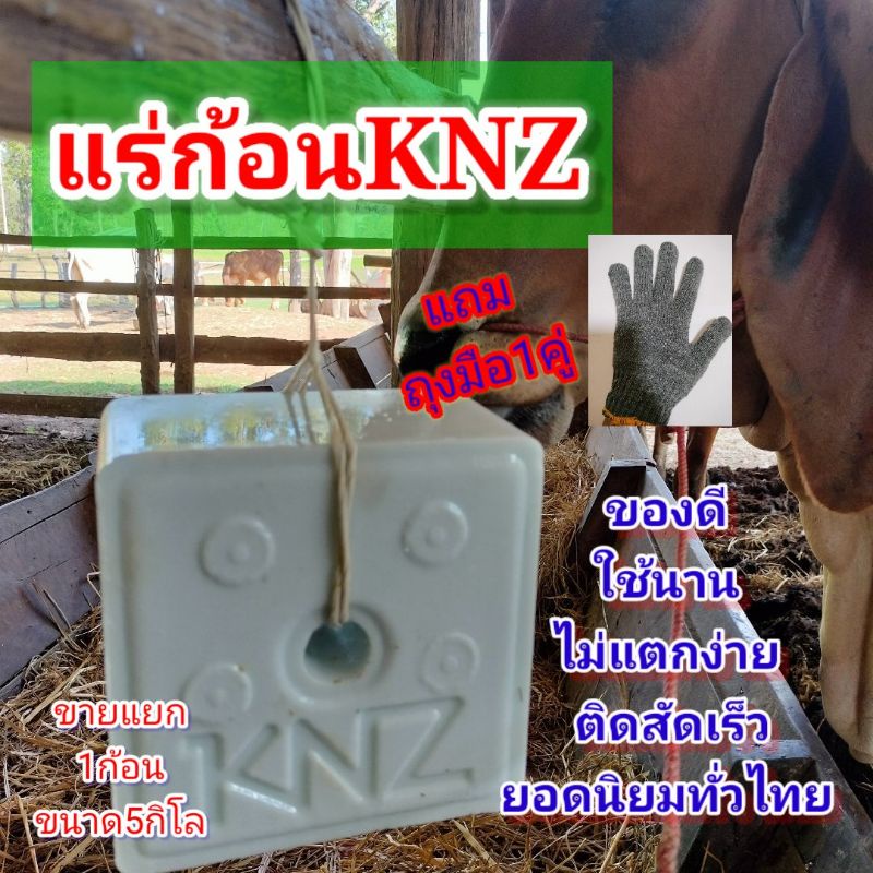 #เกลือแร่KNZ 1ก้อน=5Kg (ก้อนละ 5 Kg) แบบแยกขาย1ก่อน5กิโล บำรุงวัว เข้าจากประเทศเนเธอแลนด์  #เกลือแร่