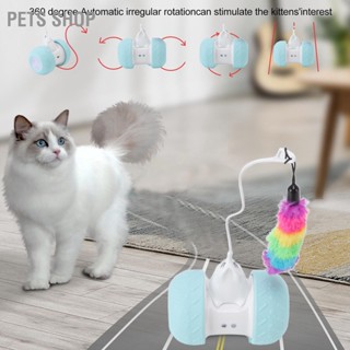 Pets Shop ของเล่นแมวไฟฟ้า แบบมีไฟ Led ชาร์จ Usb