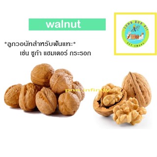 ลูกวอนัทสำหรับฟันแทะ เช่น ชูก้า แฮมเตอร์ กระรอก ลูกละ10บาท