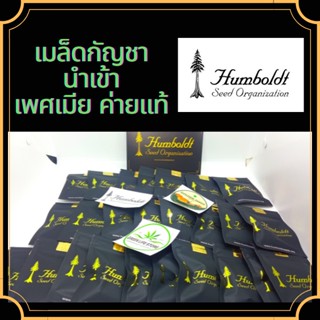 เมล็ดกัญชานอก ค่าย HUMBOLDT SEED ORGANIZATION ของเเท้ 100% โดย GoldenSeedsThailand