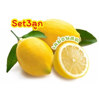 พร้อมส่ง✅ เลม่อนสดๆ เซ็ต3ลูก เกรดพรีเมี่ยม lemon เปรี้ยวจี๊ดถึงใจ