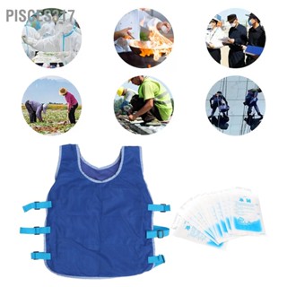 Pisces317 Ice Vest Adjustable Tightness Durable Chinlon Nylon Heat Relief Cooling Cold for Men Summer Swelling