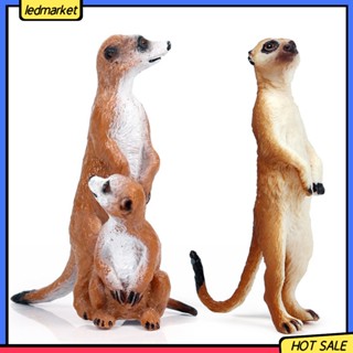 [Ledmarket] โมเดลฟิกเกอร์สัตว์ป่า Meerkat ของเล่นสําหรับเด็ก