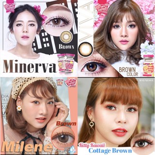 MYPINK 💕บิ๊กอาย สีน้ำตาล Bigeyes Brown Kitty Kawaii Contact Lens