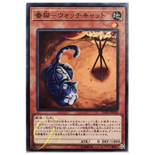 [FLOD-JP028] Watch Cat (Common)