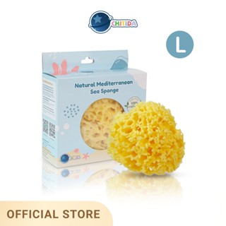 Chitida Natural Mediterranean Sea Sponge  ฟองน้ำธรรมชาติ 100% ชนิด Honey Comb สำหรับอาบน้ำ ขนาด L