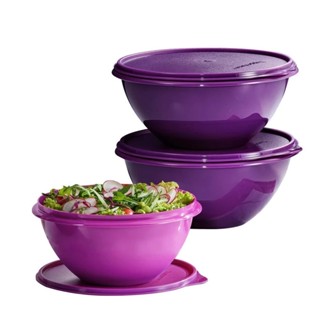 Round Wonderlier Bowl Set