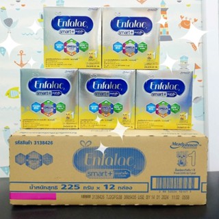 🍁ยกลัง 12กล่อง x225 กรัม (Enfalac smart) เอนฟา สมาร์ทพลัส สูตร 1